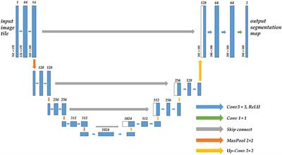 ETU-Net: efficient Transformer and convolutional U-style connected attention segmentation network applied to endoscopic image of epistaxis